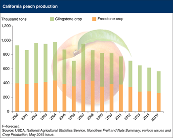 Smaller supply of California peaches available in 2015