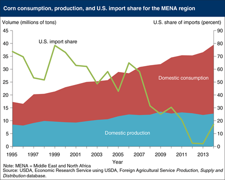 Corn use by the Middle East and North Africa region is growing, but U.S. import share is declining