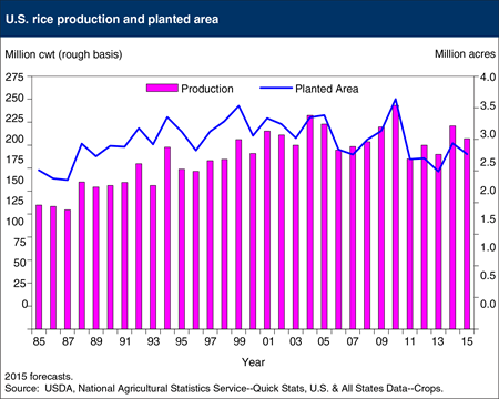 U.S. rice production is projected to decline 6 percent in 2015