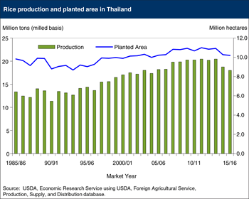 Thailand's rice production at lowest level since 2004/05