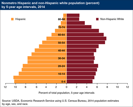 Nonmetro Hispanics tend to be younger than non-Hispanics