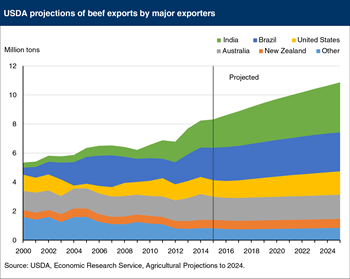 India projected to remain the leading global beef exporter