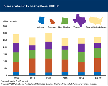 Georgia is the leading U.S. producer of pecans