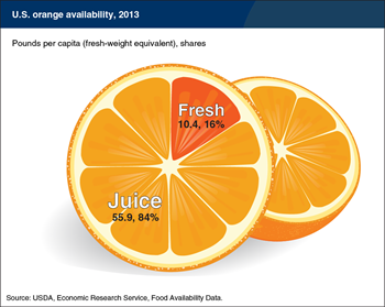 Over 80 percent of U.S. oranges available for domestic consumption are used in juice