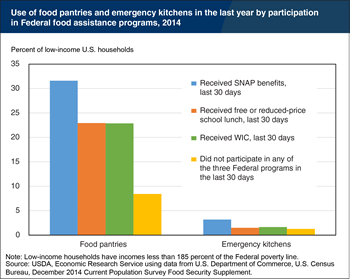 Nearly one-third of SNAP recipients obtain food from a food pantry