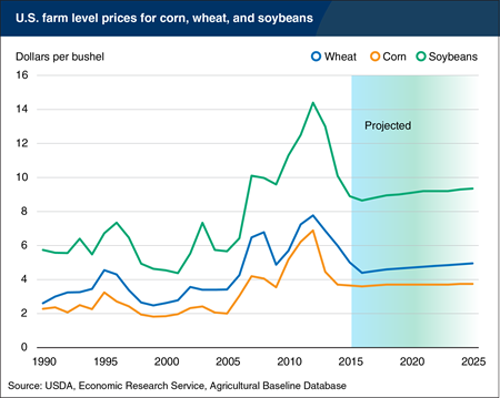 Prices for grains and oilseeds projected to remain below recent highs