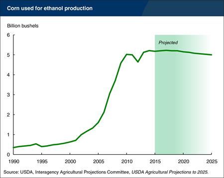 After a decade of rapid growth, corn use for ethanol is projected to decline
