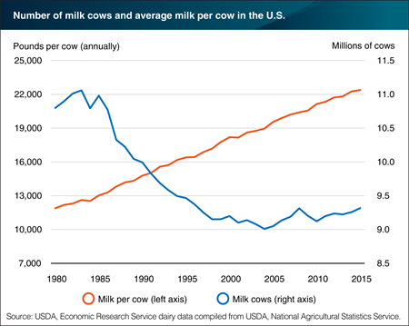 Milk-cow numbers turn higher and output per cow continues to grow