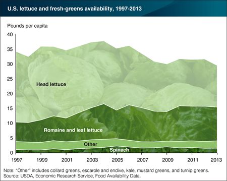 U.S. per-capita availability of romaine and leaf lettuce has almost doubled over the last 16 years