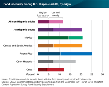 Among U.S. Hispanic adults, those with Puerto Rican origins have highest food insecurity rates