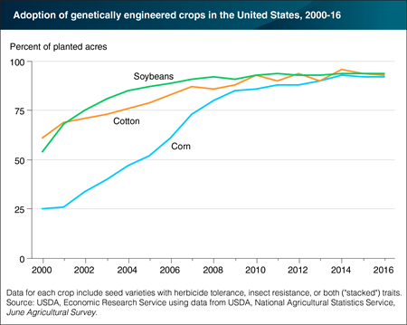 Genetically engineered varieties of corn, cotton, and soybeans have plateaued at more than 90 percent of U.S. acreage planted with those crops