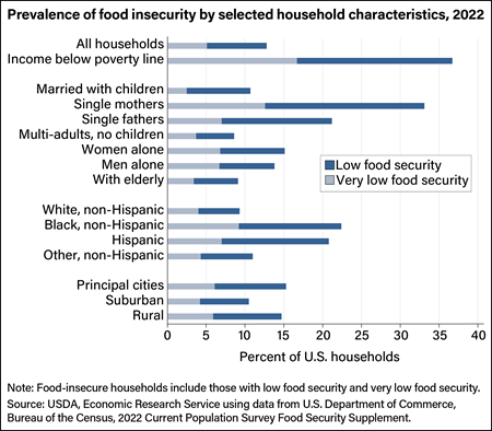 Food insecurity rates are highest for single-mother households and households with incomes below the poverty line