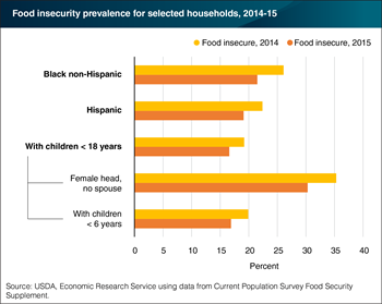 Food insecurity fell in 2015 for minority-headed households and households with children