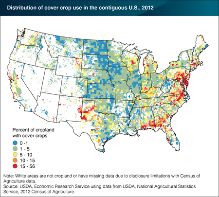 Use of cover crops is more common in the southern and eastern United States