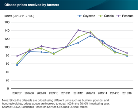 Oilseed prices continued downward trajectory in the 2015/16 marketing year