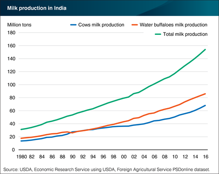 India remains the world’s largest dairy producer