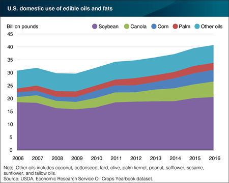 Domestic use of canola, corn, and palm oil growing at a faster rate than soybean oil