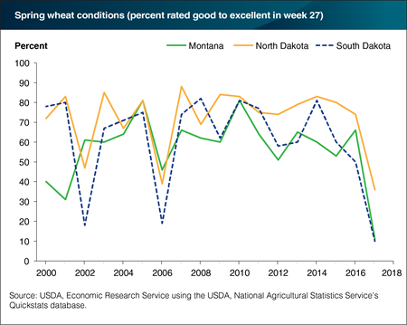Spring wheat conditions near record lows in the Northern Plains due to drought