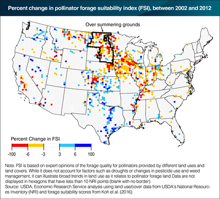 Declines in pollinator forage suitability concentrated in the Midwest