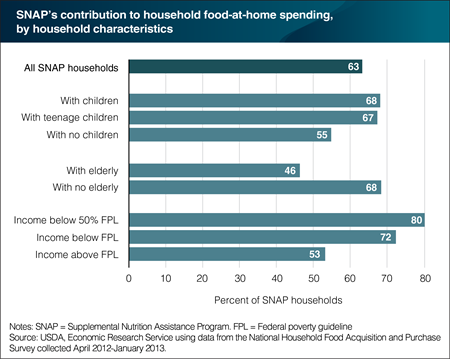SNAP benefits play a strong role in the food budgets of participant households with children and those in deep poverty