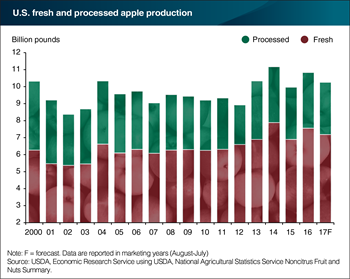 The fall apple harvest is expected to dip slightly this year, but still plenty to go around