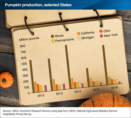 Pumpkin production in Illinois rebounds, while New York drops further in 2016
