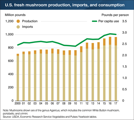 Americans consume nearly 3 pounds of fresh mushrooms per year