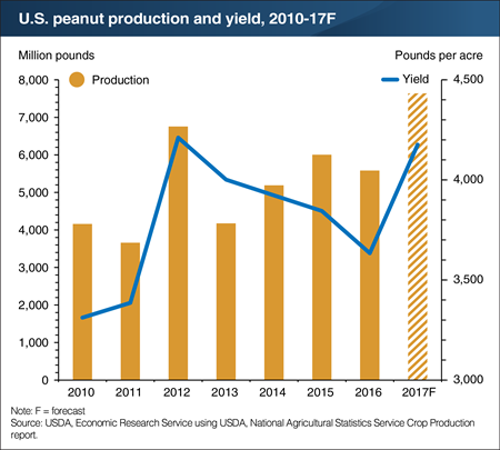 Record acreage and high yields raise U.S. peanut harvest to an all-time high