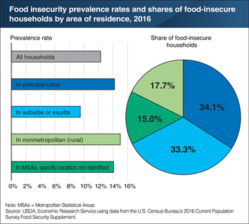 Rural households account for nearly one-fifth of U.S. food-insecure households