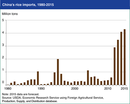 China continues to import rice at a record pace