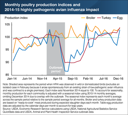 The 2014-15 highly pathogenic avian influenza outbreak significantly impacted turkey and egg producers