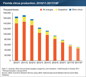 Hurricane Irma further reduced already shrinking Florida citrus production