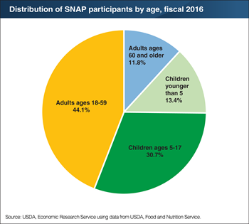 Working-age adults comprise 44 percent of SNAP participants