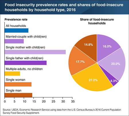 Multiple-adult households without children account for over a quarter of U.S. food-insecure households