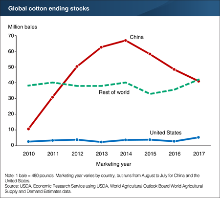World cotton stocks are projected to rise slightly in 2017/18