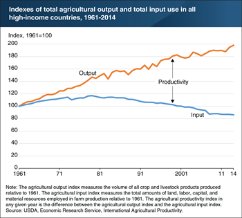 Since the late 1970s, agricultural productivity growth in high-income countries has raised output and reduced farm input use