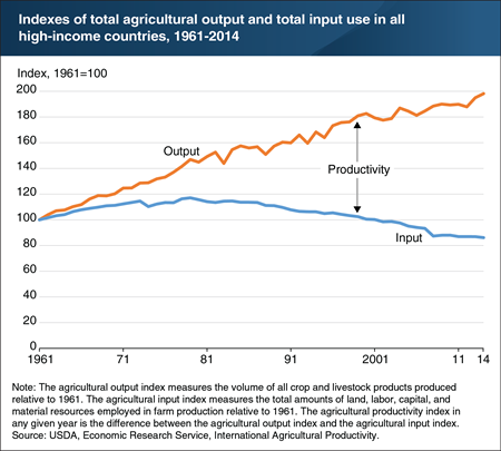 Since the late 1970s, agricultural productivity growth in high-income countries has raised output and reduced farm input use