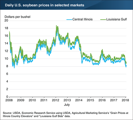U.S. soybean prices reach a 9-year low