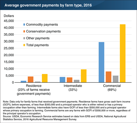 Government payments were highest to commercial farms in 2016