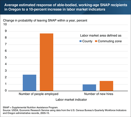 How labor markets are defined matters when gauging SNAP participants’ response to economic conditions