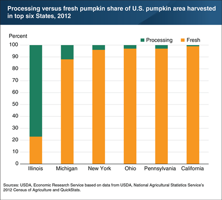 Illinois produces the largest share of processed pumpkin in the United States by a large margin