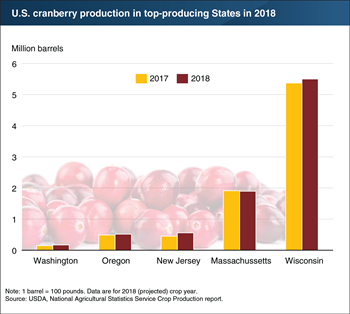 Cranberry production is up in 2018, just in time for the holidays