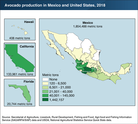 U.S. and Mexican avocado production is concentrated in a small number of States