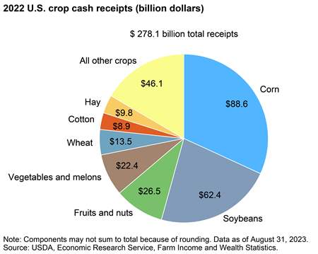 Corn, soybeans accounted for more than half of U.S. crop cash receipts in 2022