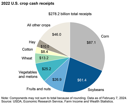 Corn, soybeans account for more than half of the 2022 U.S. crop cash receipts