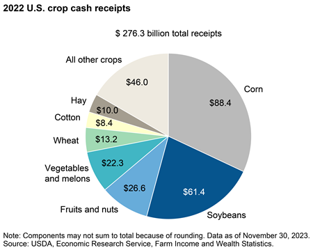 Corn, soybeans account for more than half of the 2022 U.S. crop cash receipts