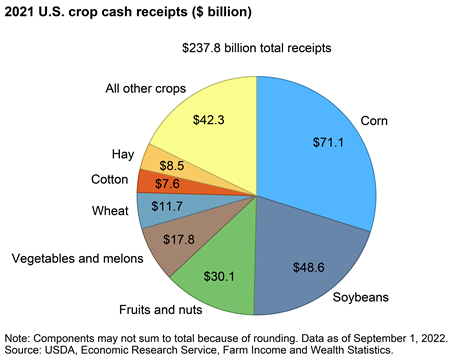 Corn, soybeans accounted for half of all U.S. crop cash receipts in 2021