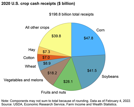 Corn, soybeans accounted for over 40 percent of all U.S. crop cash receipts in 2020