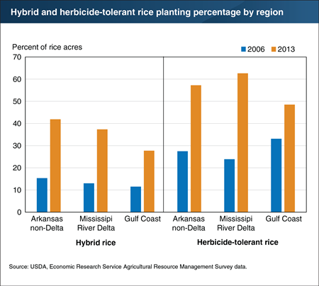 Rice producers in the southern United States increased adoption of hybrid and herbicide-tolerant seed varieties between 2006 and 2013