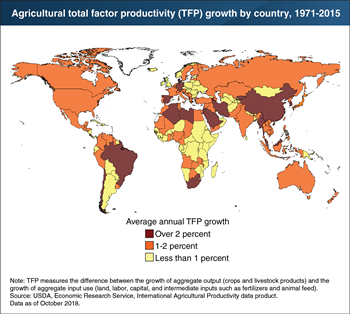 Developing countries, such as China and Brazil, lead global productivity growth